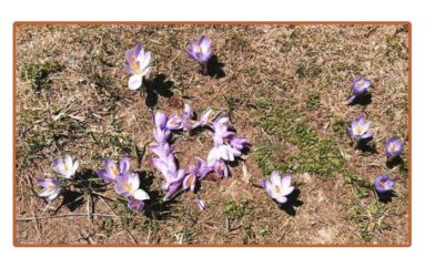 Il cuore della terra