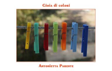 Foto Antonietta Parente: Gioia di colori