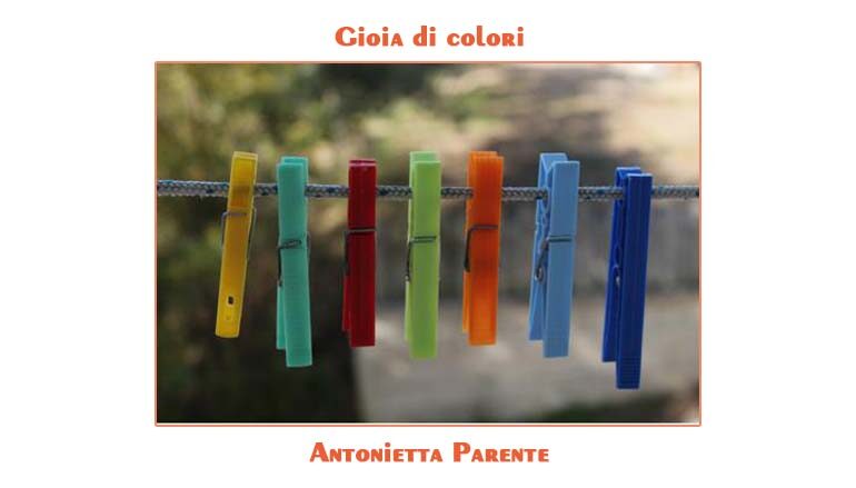 Foto Antonietta Parente: Gioia di colori