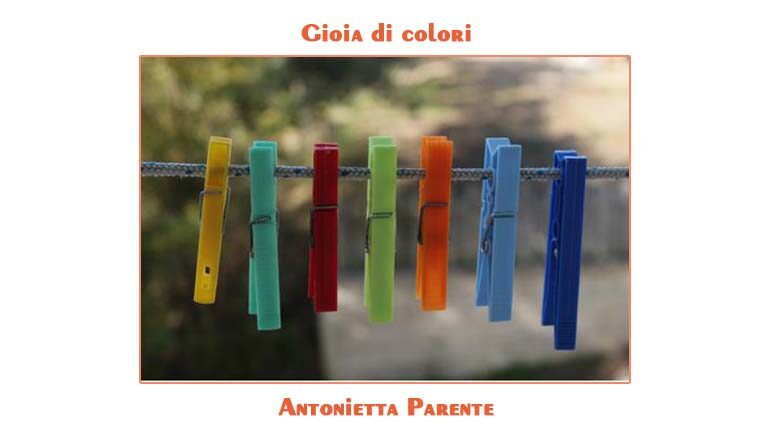 Foto Antonietta Parente: Gioia di colori