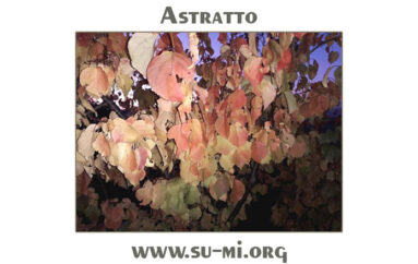 www.su-mi.org:  astratto