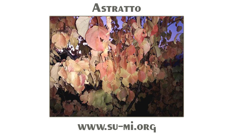 www.su-mi.org:  astratto