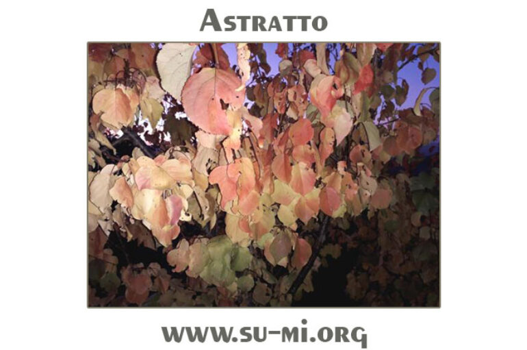 www.su-mi.org:  astratto