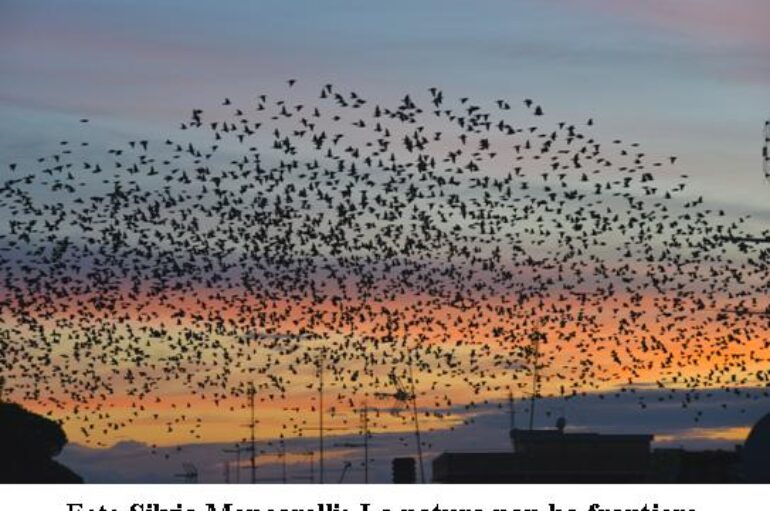 Foto Silvio Mencarelli: La natura non ha frontiere