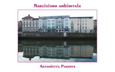 Foto Antonietta Parente:  Narcisismo ambientale