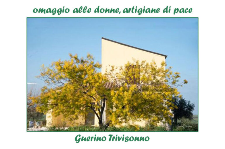 Foto Guerino Trivisonno:  Omaggio alle donne, artigiane di pace