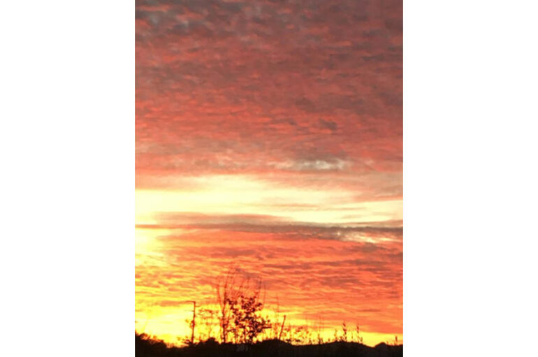 Il domani del molise