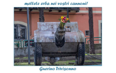 Foto Guerino Trivisonno:  mettete erba nei vostri cannoni!