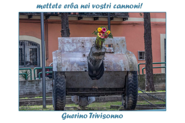 Foto Guerino Trivisonno:  mettete erba nei vostri cannoni!