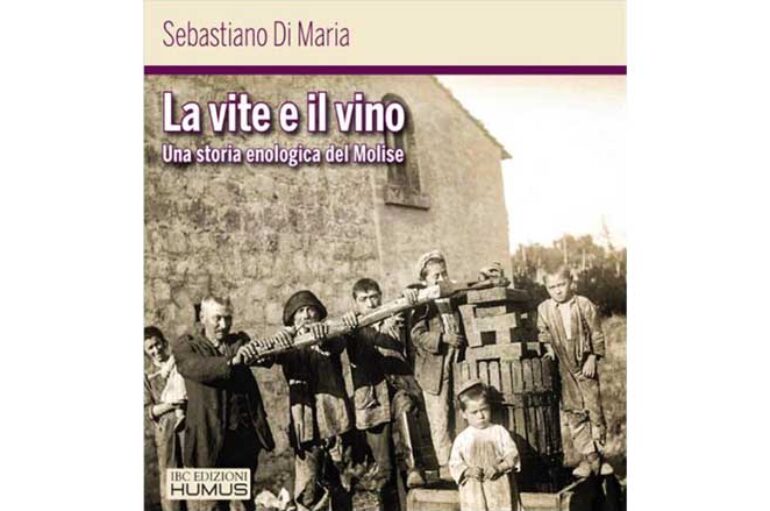 Vino e territorio