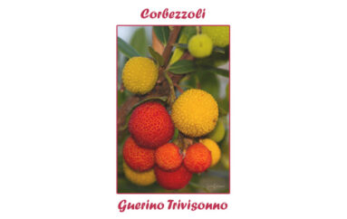 Foto: Guerino Trivisonno – Corbezzoli