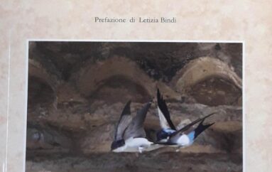 – libri “PHOTO VERSUS in sol minore” di Enzo Bacca e Rino Trivisonno