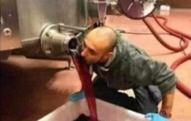 La cura per un mondo nuovo