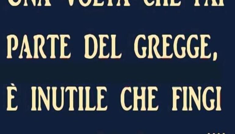 Vita amarena