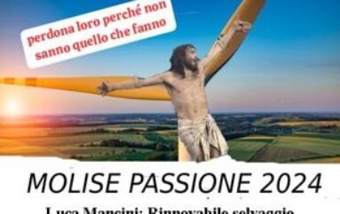 Luca Mancini: Rinnovabile selvaggio