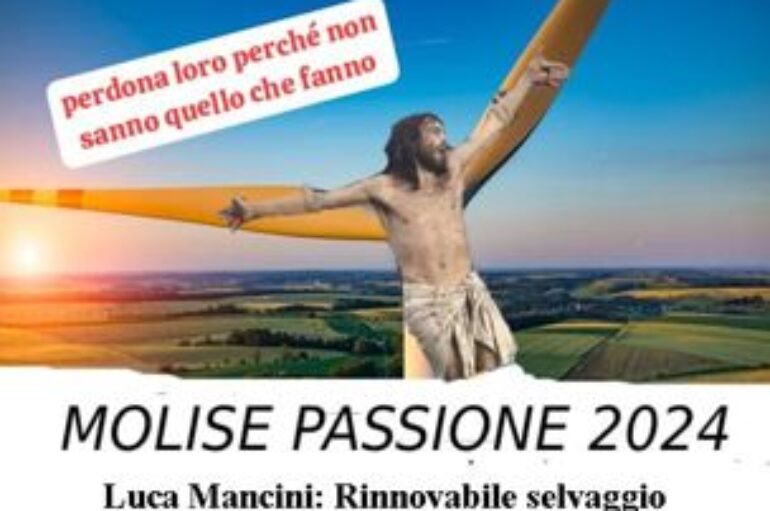 Luca Mancini: Rinnovabile selvaggio