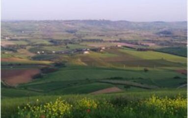 Il bluff dell’agrivoltaico