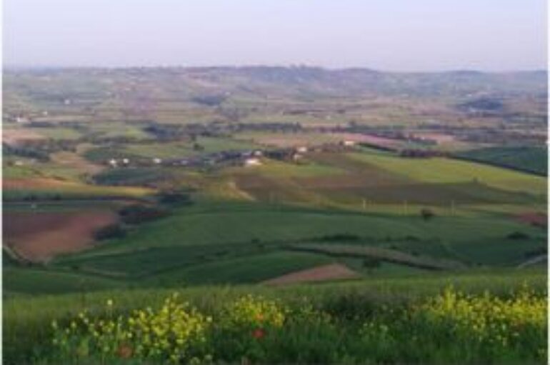 Il bluff dell’agrivoltaico