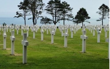 Foto Antonietta Parente: Conseguenza delle guerre