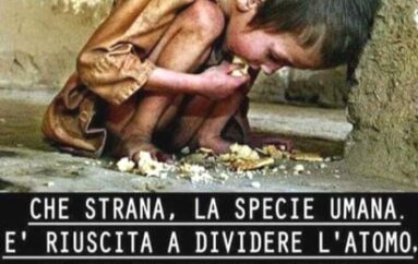 Ius scholae, verso il diritto alla cittadinanza