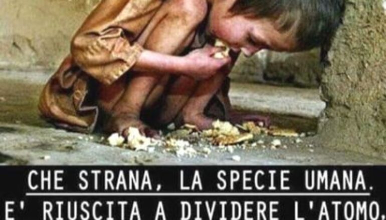 Ius scholae, verso il diritto alla cittadinanza