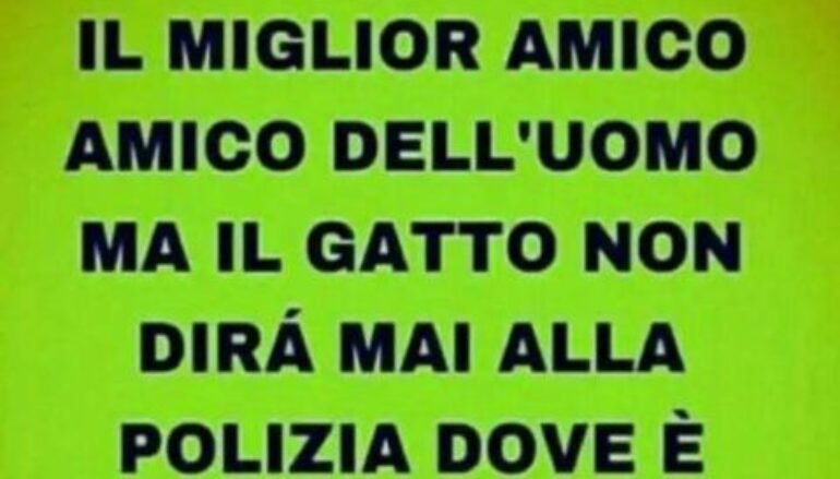 Partecipazione sul territorio