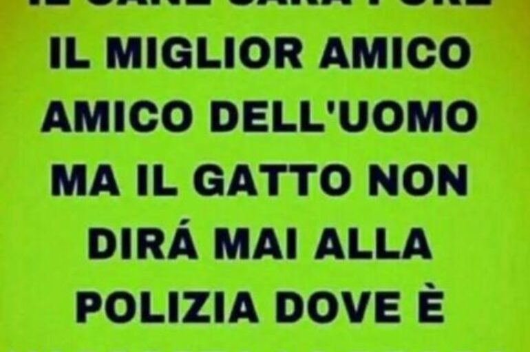 Partecipazione sul territorio