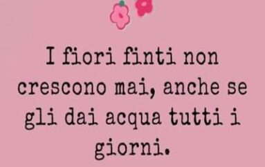 Nel segno della tradizione (bis)