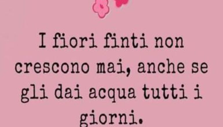 Nel segno della tradizione (bis)