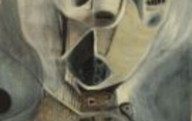 Ana Maria Erra Guevara:  Il grido della città