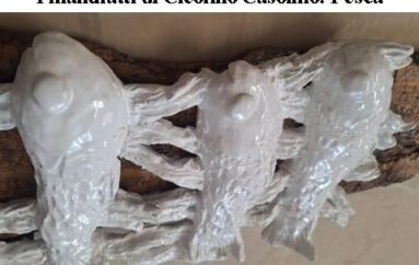 I manufatti di Cleofino Casolino: Pesca