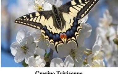 Aboliamo il quorum