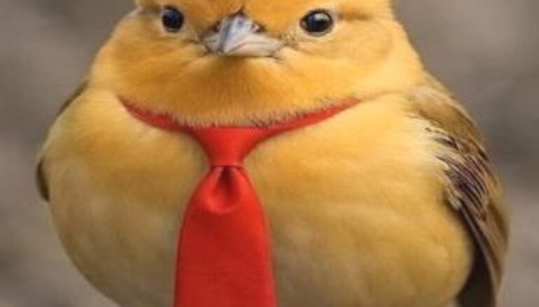 L’ossessione americana