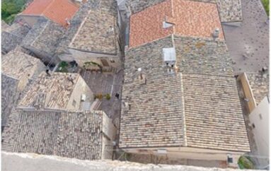 Eutanasia dei paesi