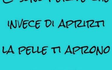 Vertebre della poesia