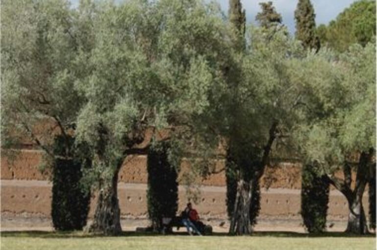 foto: “la natura dona pace” di Antonietta Parente