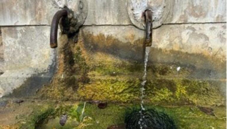 foto: “la fonte” di Guerino Trivisonno