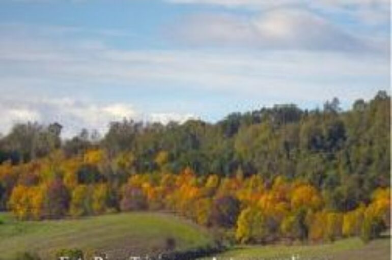 foto: “autunno molisano” di Guerino Trivisonno