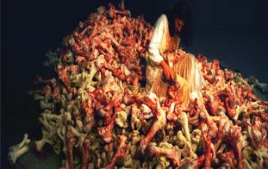 Marina abramovic: balkan baroque