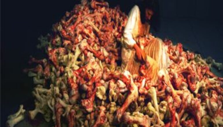 Marina abramovic: balkan baroque