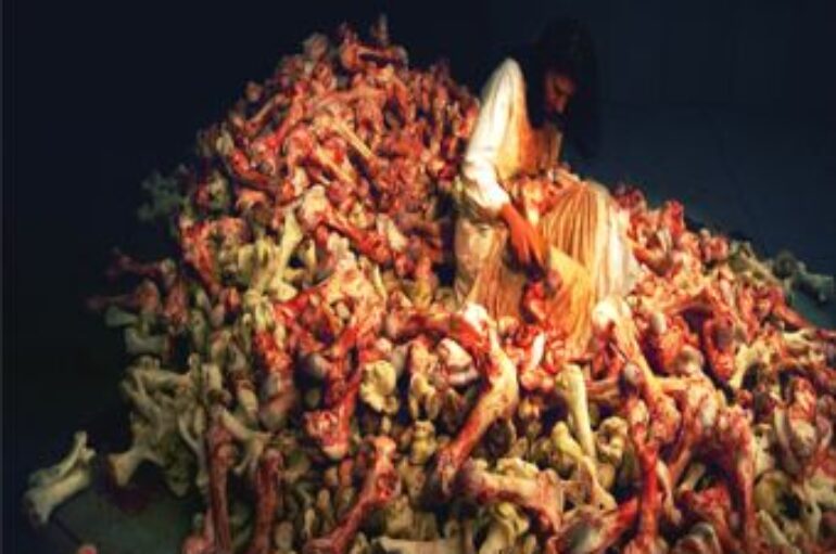 Marina abramovic: balkan baroque