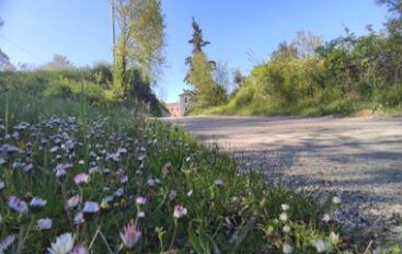 Tutto è ‘troppo’ …
