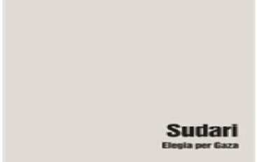 libri: “Sudari (Elegia per Gaza)” di Paola Caridi