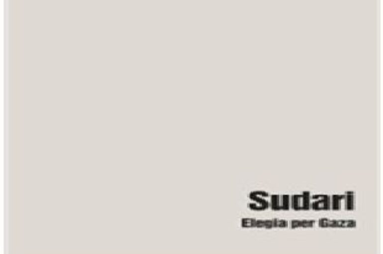 libri: “Sudari (Elegia per Gaza)” di Paola Caridi