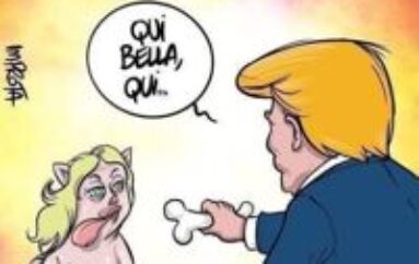 Dominio