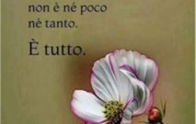 Il dottor sergio