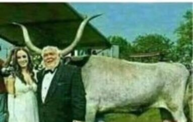 Agricoltura che guarda al futuro