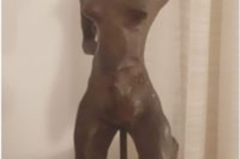 I manufatti di Cleofino Casolino: “Sinuosità”
