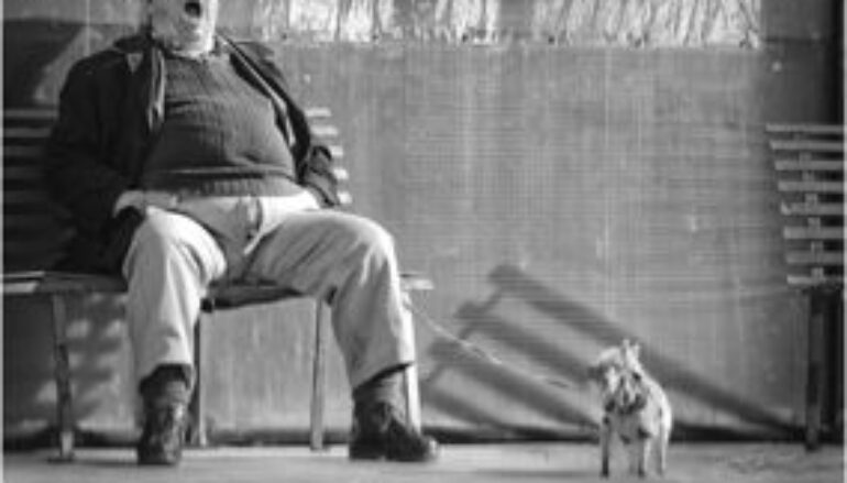 Foto: “Sbadiglio contagioso” di Guerino Trivisonno