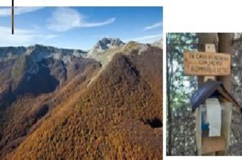 I corridoi dell’orso